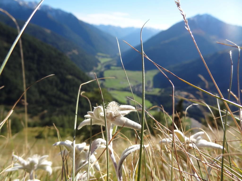 Ferienhaus Meins Kals-am Großglockner المظهر الخارجي الصورة