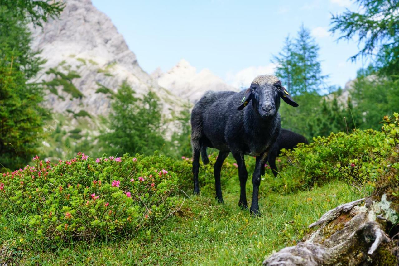 Ferienhaus Meins Kals-am Großglockner المظهر الخارجي الصورة